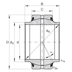 關(guān)節(jié)軸承 GE20-HO-2RS, 根據(jù) DIN ISO 12 240-1 標(biāo)準(zhǔn), 需維護(hù)，兩側(cè)唇密封