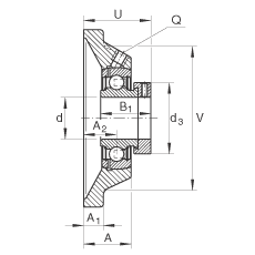 軸承座單元 PCJ20-N-FA125, 帶四個螺栓孔的法蘭的軸承座單元，鑄鐵，偏心鎖圈，P型密封，耐腐蝕保護