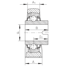 直立式軸承座單元 RASEL20-N, 鑄鐵軸承座，浮動軸承，內(nèi)圈有驅(qū)動槽，R 型密封